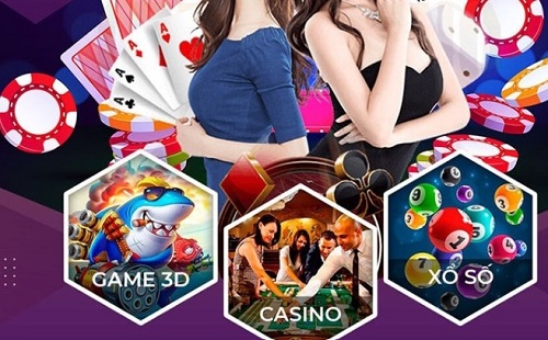 Tổng quan về kế hoạch quảng bá K9win - K9win