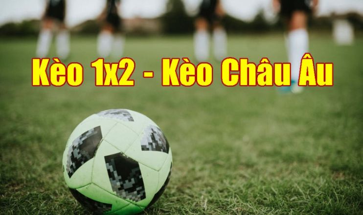 Chức năng ứng dụng Sin88 - Sin88