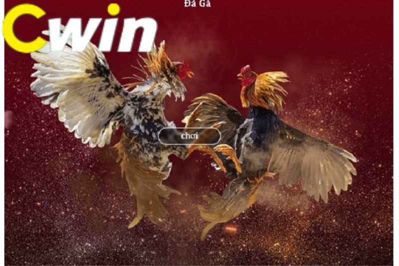 Đăng ký thành viên mới Soco88 - Soco88