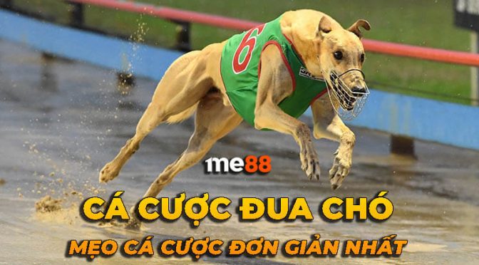 Mobi66 giải mã giấc mơ về rồng - Mobi66
