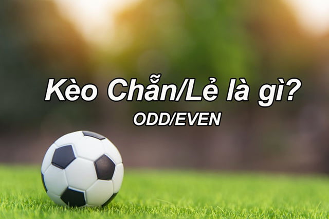 Thiên đường game trực tuyến hạng Sc88 - Sc88