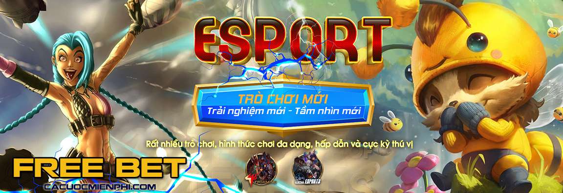 C54 đã cải tiến và đơn giản hóa hoạt động của mình - C54