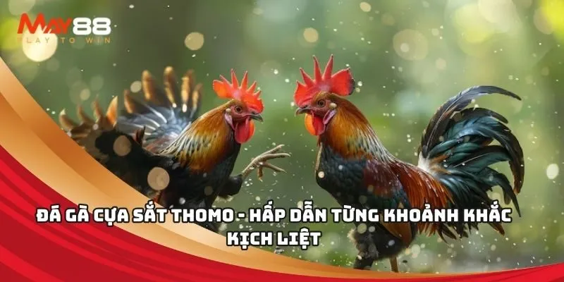 Sảnh trò chơi phần thưởng cấp Tf88 - Tf88