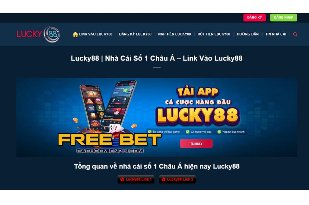 Zalv cần đáp ứng những điều kiện gì để phát hành 100000 lượt đặt cược miễn phí? - Zalv
