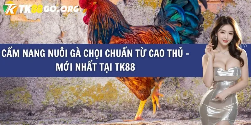 Chính sách an ninh toàn diện Ta88 - Ta88