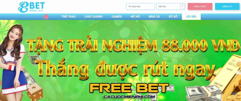 Công ty Net88 Games được thành lập như thế nào? - Net88