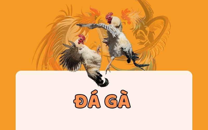 Nguồn gốc của trang web game Fm88 - Fm88