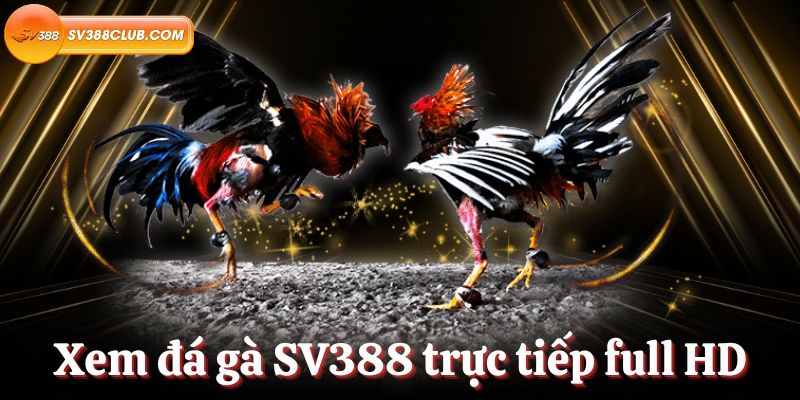 Tôi cần làm gì để đăng ký, nạp tiền và rút tiền tại một sòng bạc hạng Sodo17? - Sodo17