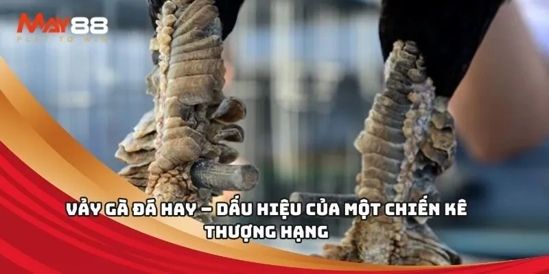Hướng dẫn đăng ký tài khoản cá cược của Công ty cá cược Mibet - Mibet