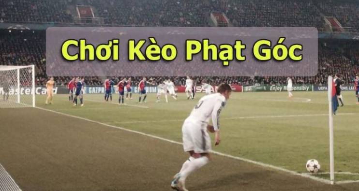 Lưu ý quan trọng khi tham gia xổ số Gemwin - Gemwin