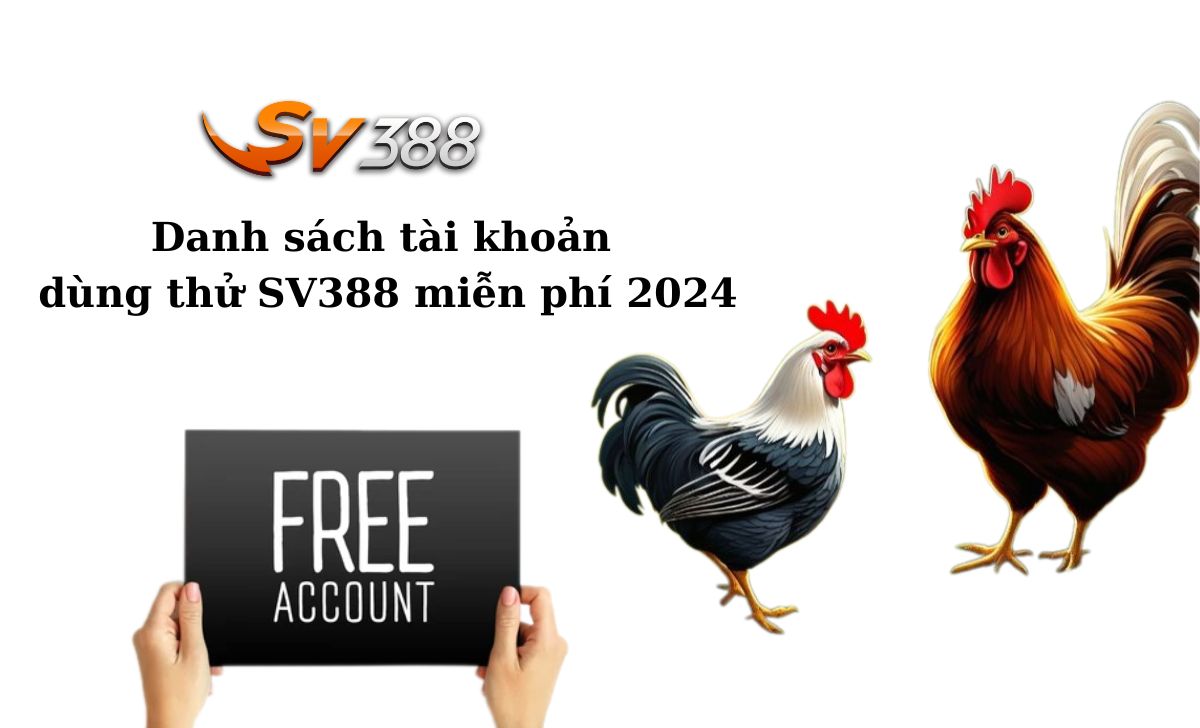 Giới thiệu ngắn gọn về nền tảng cá cược nổi tiếng Stake Bet - Stake