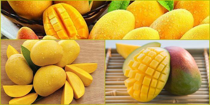 Gowin có phải là một lựa chọn đáng tin cậy không? - Gowin