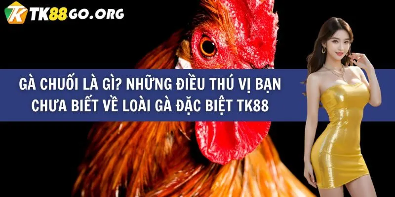 Luật chơi bài poker cấp độ Cmd368 - Cmd368