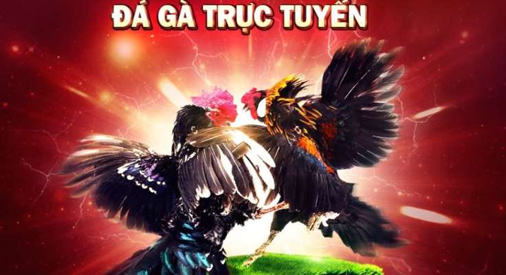 Hướng dẫn chi tiết cách sạc pin B8b - B8b