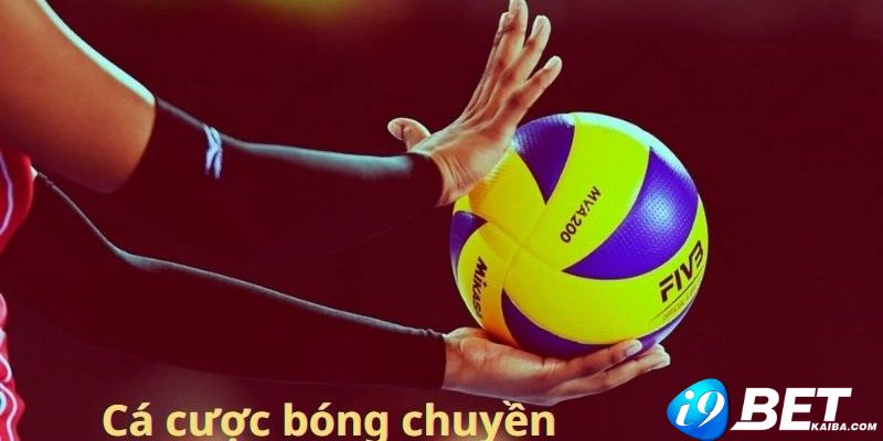 Bạn có thể tìm thông tin về kết quả các trận đấu bóng đá Pháp trên trang web M88 - M88