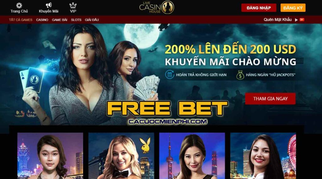 Tóm tắt các hoạt động quảng bá phổ biến nhất của Bigboss năm 2026 - Bigboss
